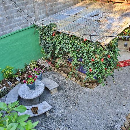 Mangifera Hostel Grecia Exterior photo