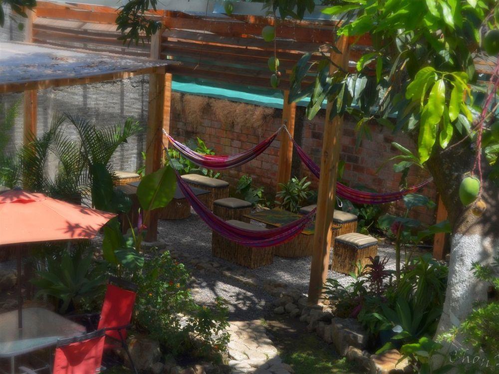 Mangifera Hostel Grecia Exterior photo